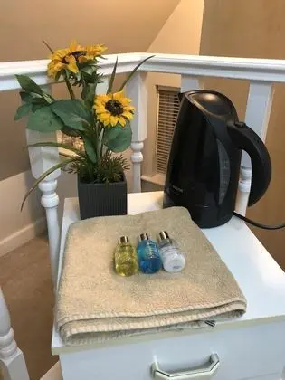 Deluxe Tek Büyük Yataklı Oda, 1 Çift Kişilik Yatak, Sigara İçilmez