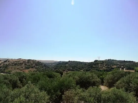 Superior Stüdyo Süit, 1 Yatak Odası, Sigara İçilmez, Deniz Manzaralı