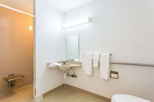 Engellilere uygun banyo