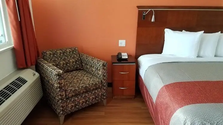 Deluxe Oda, 2 Çift Kişilik Yatak, Sigara İçilmez, Buzdolabı ve Mikrodalga