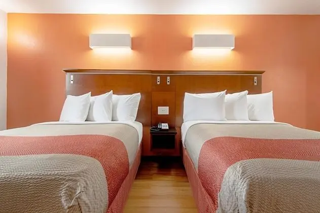 Deluxe Oda, 2 Çift Kişilik Yatak, Sigara İçilmez, Buzdolabı ve Mikrodalga