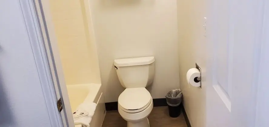 Deluxe Oda, 1 Büyük (Queen) Boy Yatak, Sigara İçilmez, Buzdolabı ve Mikrodalga