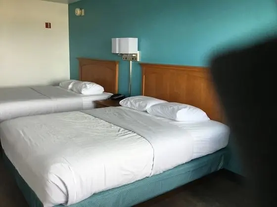 Standard Oda, 2 Büyük (Queen) Boy Yatak, Engellilere Uygun, Sigara İçilmez