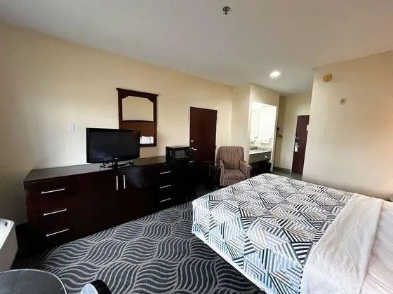 Deluxe Oda, 1 En Büyük (King) Boy Yatak, Sigara İçilebilir, Buzdolabı ve Mikrodalga