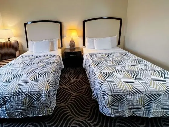 Deluxe Oda, 2 Çift Kişilik Yatak, Sigara İçilmez, Buzdolabı ve Mikrodalga