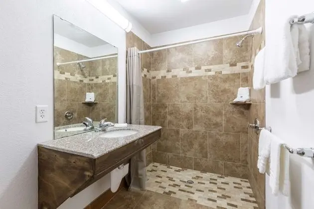 Deluxe Oda, 1 En Büyük (King) Boy Yatak, Sigara İçilmez, Buzdolabı ve Mikrodalga