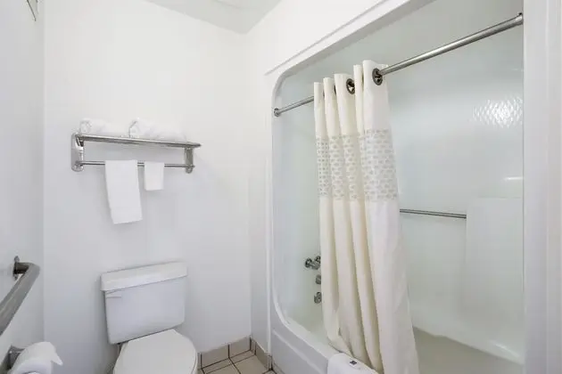 Deluxe Oda, 2 Çift Kişilik Yatak, Sigara İçilmez, Buzdolabı ve Mikrodalga