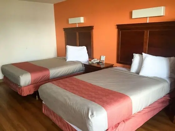 Premium Oda, 2 Çift Kişilik Yatak, Sigara İçilmez, Buzdolabı ve Mikrodalga