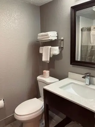 Deluxe Oda, 2 Büyük (Queen) Boy Yatak, Sigara İçilmez