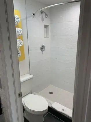 Deluxe Oda, 2 Çift Kişilik Yatak, Sigara İçilmez, Buzdolabı ve Mikrodalga