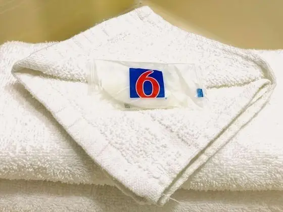 Deluxe Oda, 2 Çift Kişilik Yatak, Sigara İçilmez, Buzdolabı ve Mikrodalga