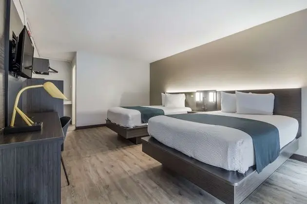Deluxe Oda, 2 Çift Kişilik Yatak, Engellilere Uygun, Sigara İçilmez