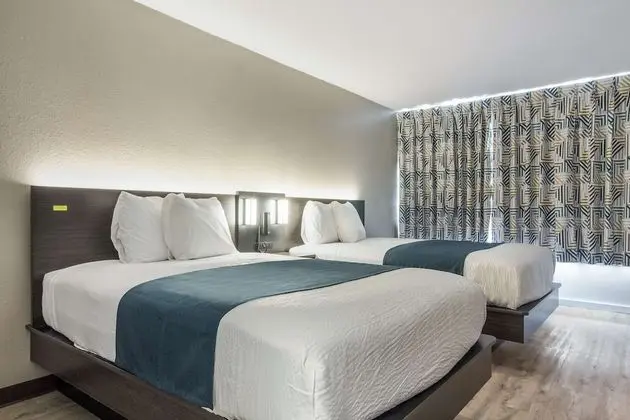 Deluxe Oda, 2 Çift Kişilik Yatak, Sigara İçilmez, Buzdolabı ve Mikrodalga