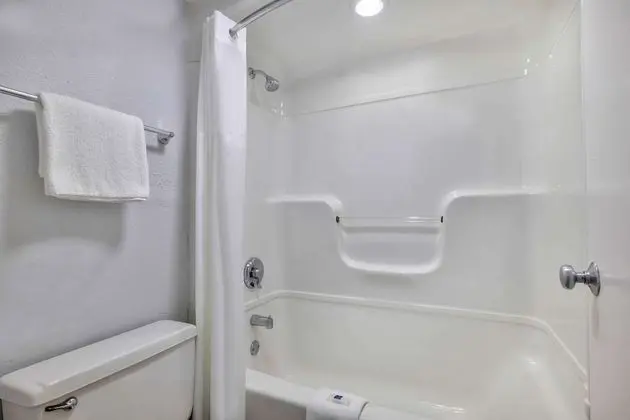Deluxe Oda, 2 Çift Kişilik Yatak, Sigara İçilmez, Buzdolabı ve Mikrodalga
