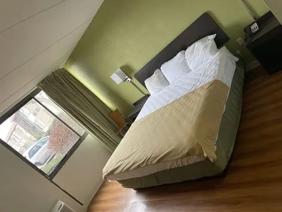 Oda, 1 En Büyük (King) Boy Yatak, Engellilere Uygun, Sigara İçilmez (Mobility, Roll-In Shower)