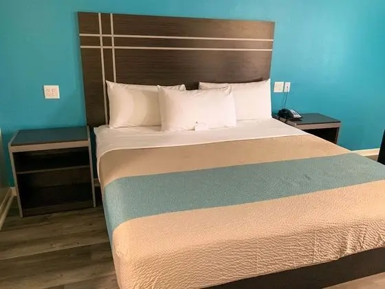 Deluxe Oda, 1 En Büyük (King) Boy Yatak, Sigara İçilebilir, Buzdolabı ve Mikrodalga