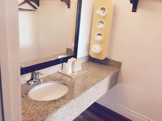 Deluxe Oda, 1 En Büyük (King) Boy Yatak, Sigara İçilmez, Buzdolabı ve Mikrodalga
