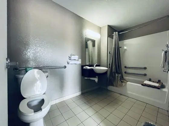 Deluxe Oda, 1 Çift Kişilik Yatak, Engellilere Uygun, Sigara İçilmez