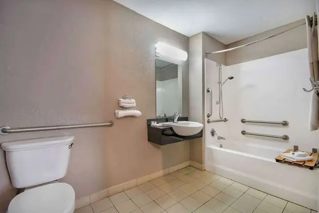 Deluxe Oda, 1 Çift Kişilik Yatak, Engellilere Uygun, Sigara İçilmez