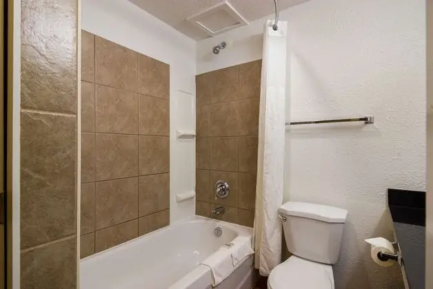Deluxe Oda, 2 Çift Kişilik Yatak, Sigara İçilmez, Buzdolabı ve Mikrodalga