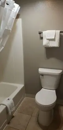 Deluxe Oda, 2 Çift Kişilik Yatak, Sigara İçilmez, Buzdolabı ve Mikrodalga