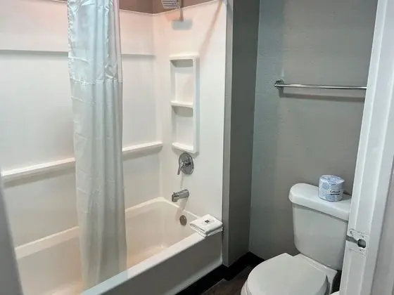 Deluxe Oda, 2 Çift Kişilik Yatak, Sigara İçilmez, Buzdolabı ve Mikrodalga