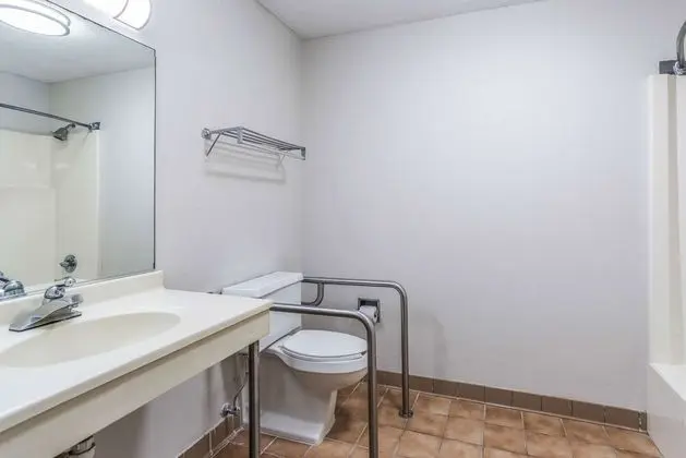Deluxe Oda, 1 Çift Kişilik Yatak, Engellilere Uygun, Sigara İçilebilir