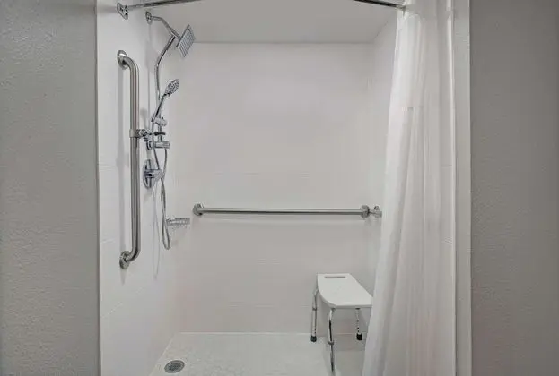 Deluxe Oda, 1 En Büyük (King) Boy Yatak, Engellilere Uygun, Sigara İçilmez