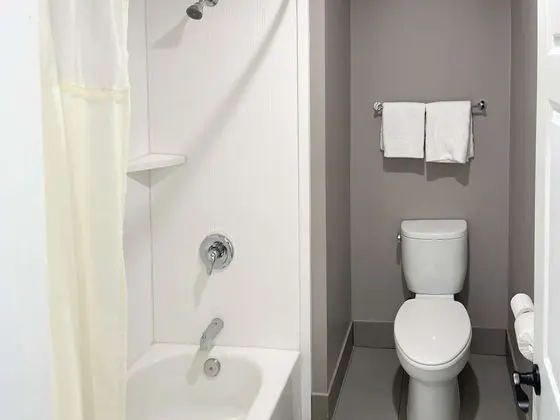 Deluxe Oda, 2 Çift Kişilik Yatak, Sigara İçilmez, Buzdolabı ve Mikrodalga