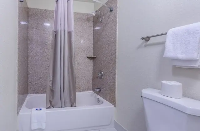 Deluxe Oda, 1 Çift Kişilik Yatak, Sigara İçilmez, Buzdolabı ve Mikrodalga
