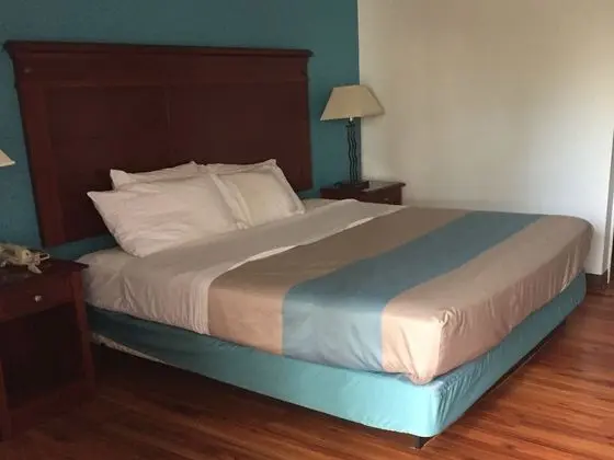 Standard Oda, 1 En Büyük (King) Boy Yatak, Sigara İçilmez