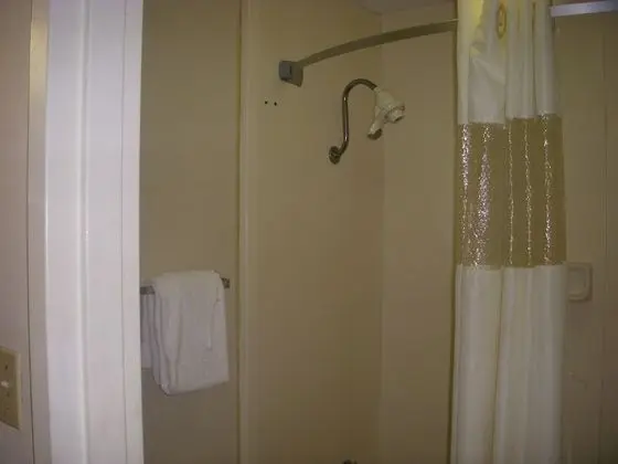 Standard Oda, 2 Çift Kişilik Yatak, Sigara İçilmez (Roll In Shower - Accessible)