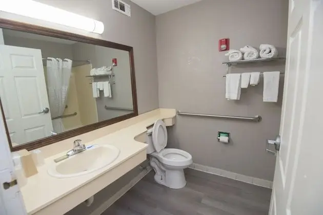 Deluxe Oda, 1 En Büyük (King) Boy Yatak, Engellilere Uygun, Sigara İçilmez