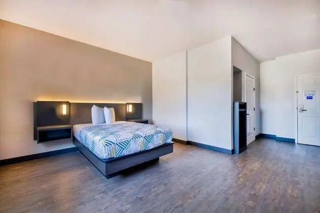 Deluxe Oda, 1 Çift Kişilik Yatak, Engellilere Uygun, Sigara İçilmez