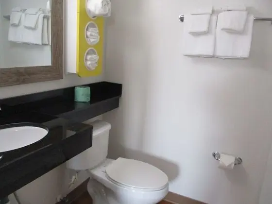 Deluxe Oda, 2 Çift Kişilik Yatak, Sigara İçilmez, Buzdolabı ve Mikrodalga