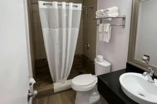 Deluxe Oda, 1 En Büyük (King) Boy Yatak, Sigara İçilebilir, Buzdolabı ve Mikrodalga