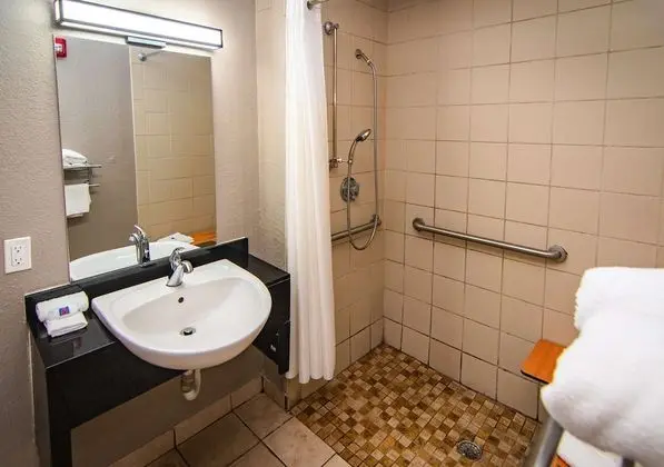 Premium Oda, 1 Çift Kişilik Yatak, Engellilere Uygun, Sigara İçilmez