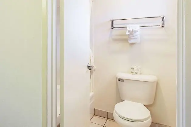 Deluxe Oda, 1 Büyük (Queen) Boy Yatak, Sigara İçilmez, Buzdolabı ve Mikrodalga