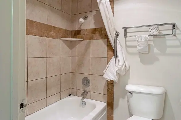 Deluxe Oda, 2 Büyük (Queen) Boy Yatak, Sigara İçilmez, Buzdolabı ve Mikrodalga