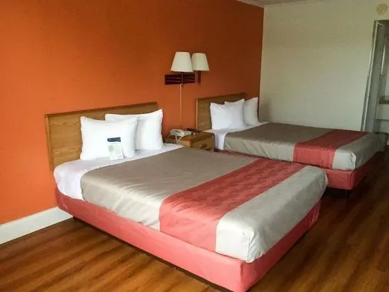 Standard Oda, 2 Çift Kişilik Yatak, Sigara İçilebilir