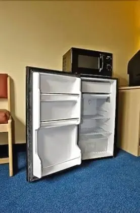 Mini buzdolabı