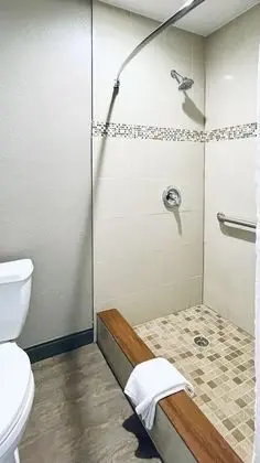 Standard Oda, Birden Çok Yatak, Sigara İçilmez, Buzdolabı ve Mikrodalga
