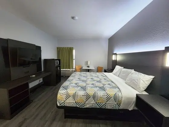 Deluxe Oda, 1 En Büyük (King) Boy Yatak, Sigara İçilebilir, Buzdolabı ve Mikrodalga