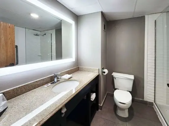 Deluxe Oda, 2 Çift Kişilik Yatak, Sigara İçilebilir, Buzdolabı ve Mikrodalga