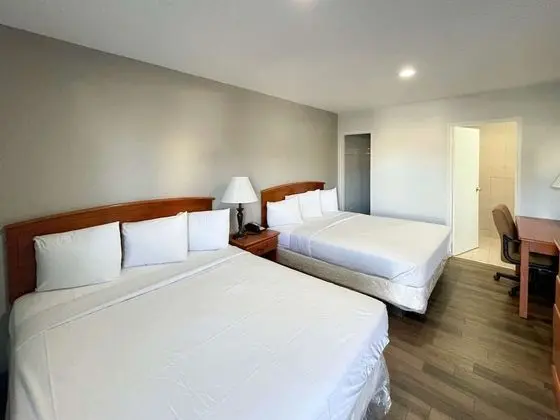 Deluxe Oda, 2 Çift Kişilik Yatak, Sigara İçilmez, Buzdolabı ve Mikrodalga