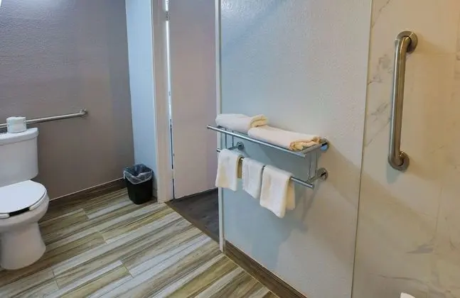 Engellilere uygun banyo