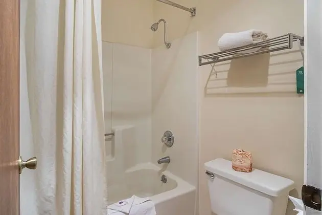 Deluxe Oda, 2 Büyük (Queen) Boy Yatak, Sigara İçilmez, Buzdolabı ve Mikrodalga