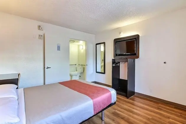 Televizyon
