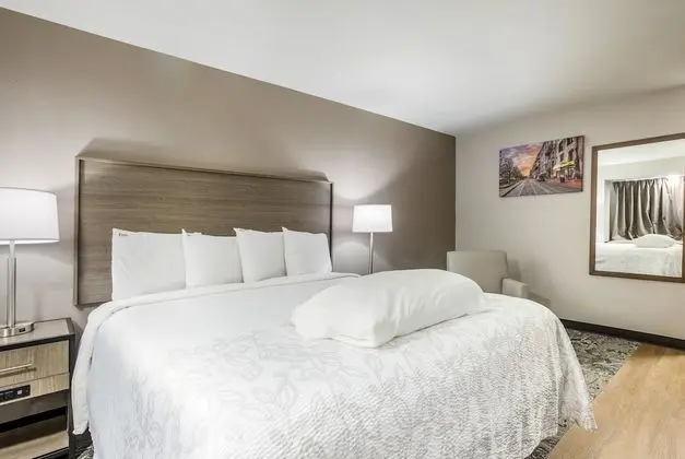 Premium Oda, 1 En Büyük (King) Boy Yatak (Upgraded Bedding & Snack, Smoke Free)