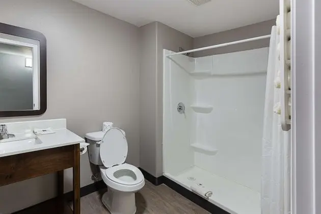 Standard Oda, 1 En Büyük (King) Boy Yatak, Sigara İçilmez, Buzdolabı ve Mikrodalga